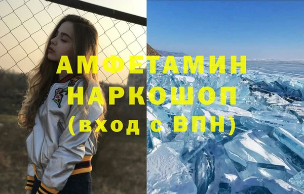 прущие грибы Абаза