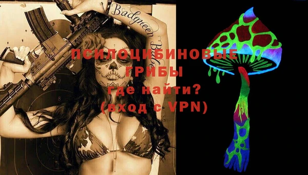 прущие грибы Абаза