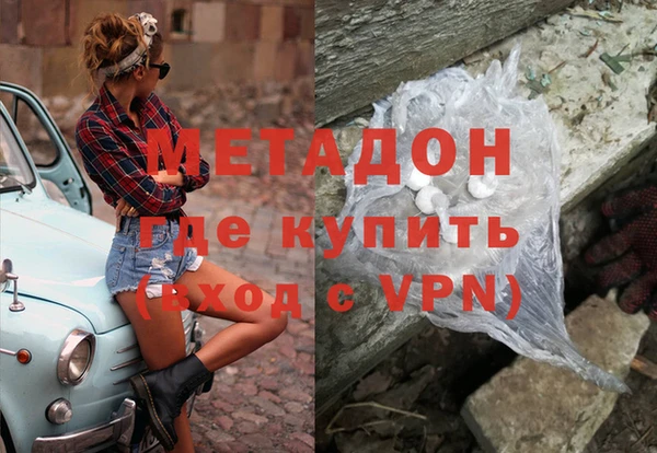 прущие грибы Абаза