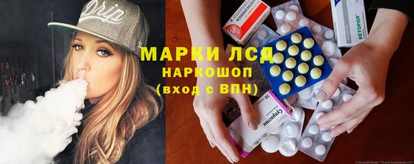 прущие грибы Абаза