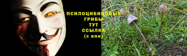 mdpv Лиски