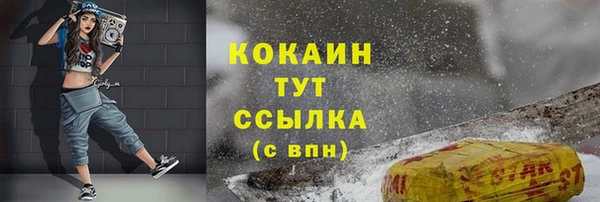 прущие грибы Абаза